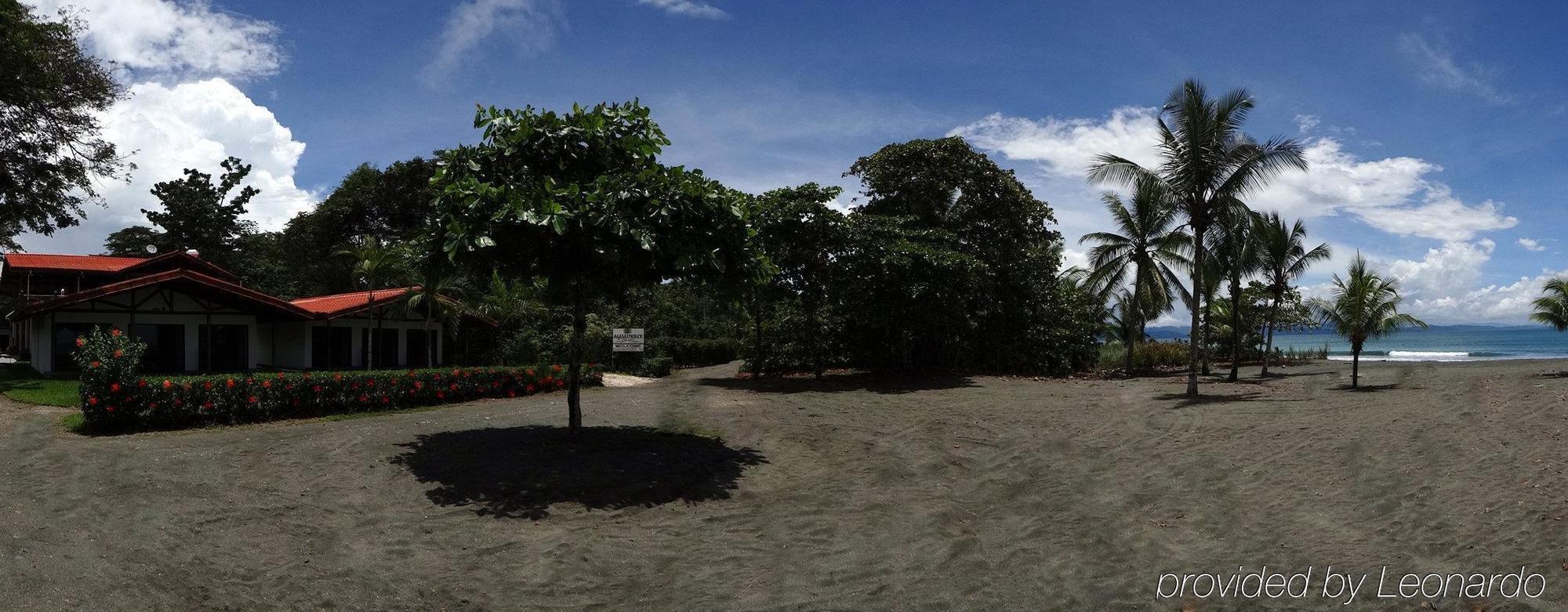 Agua Dulce On The Beach Puerto Jimenez Exterior photo