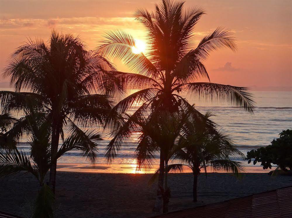 Agua Dulce On The Beach Puerto Jimenez Exterior photo